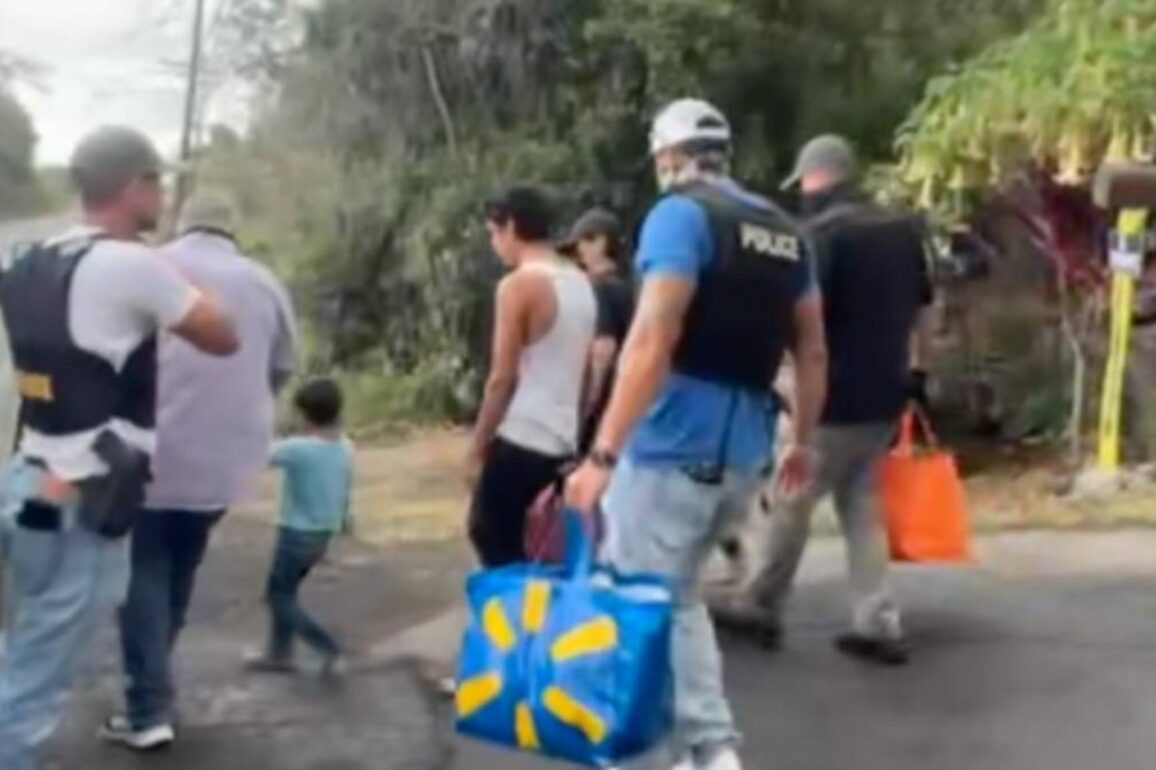 ACLU of Hawaii asks county leaders not to collaborate with Immigration and Customs Enforcement