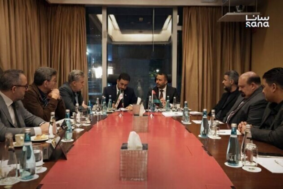 Syria, Libya discuss prospects for joint health cooperation