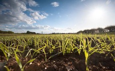What can the new SFI standards offer arable farmers?