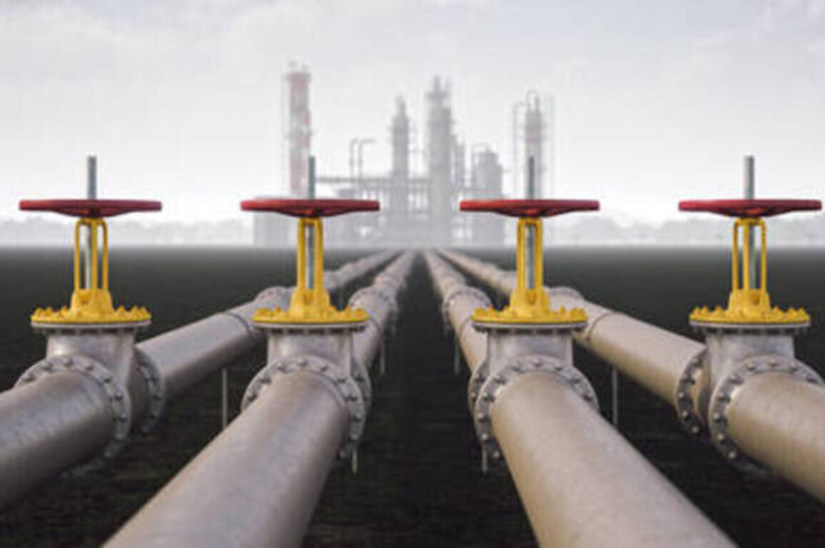 Serbia thwarts plot to bomb Russia-Hungary gas pipeline - Vucic