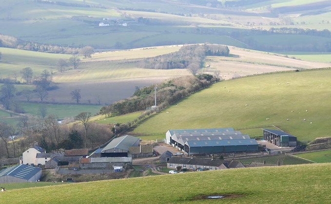 Dual-purpose British Friesians fit the bill on family-run farm