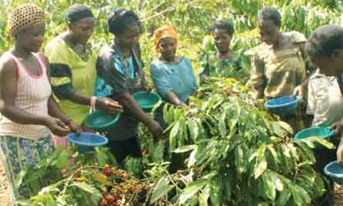 Kateregga holds the key to saving women in Kyabakuza Kateregga holds the key to saving women in Kyabakuza