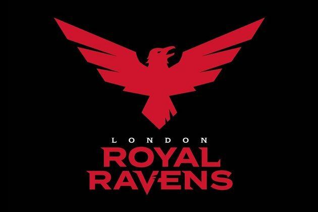London Royal Ravens sign Zed to replace Alexx