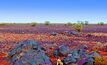 Central nets $31M for outback exploration