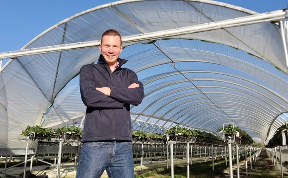 In your field – Dan Hawes: "Isn't it good to see British fruit back on the supermarket shelves?"