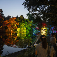SINGAPORE-BOTANIC GARDENS-LIGHT SHOW