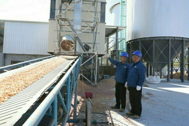 State Grid Dezhou Power Supply Company: Escort Autumn Harvest Taking Multiple Measures to ensure Power Supply Services