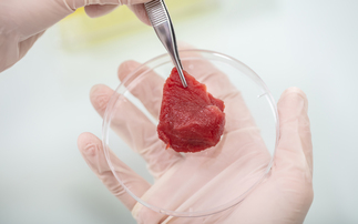 Seven US states announce ban on lab-grown meat production