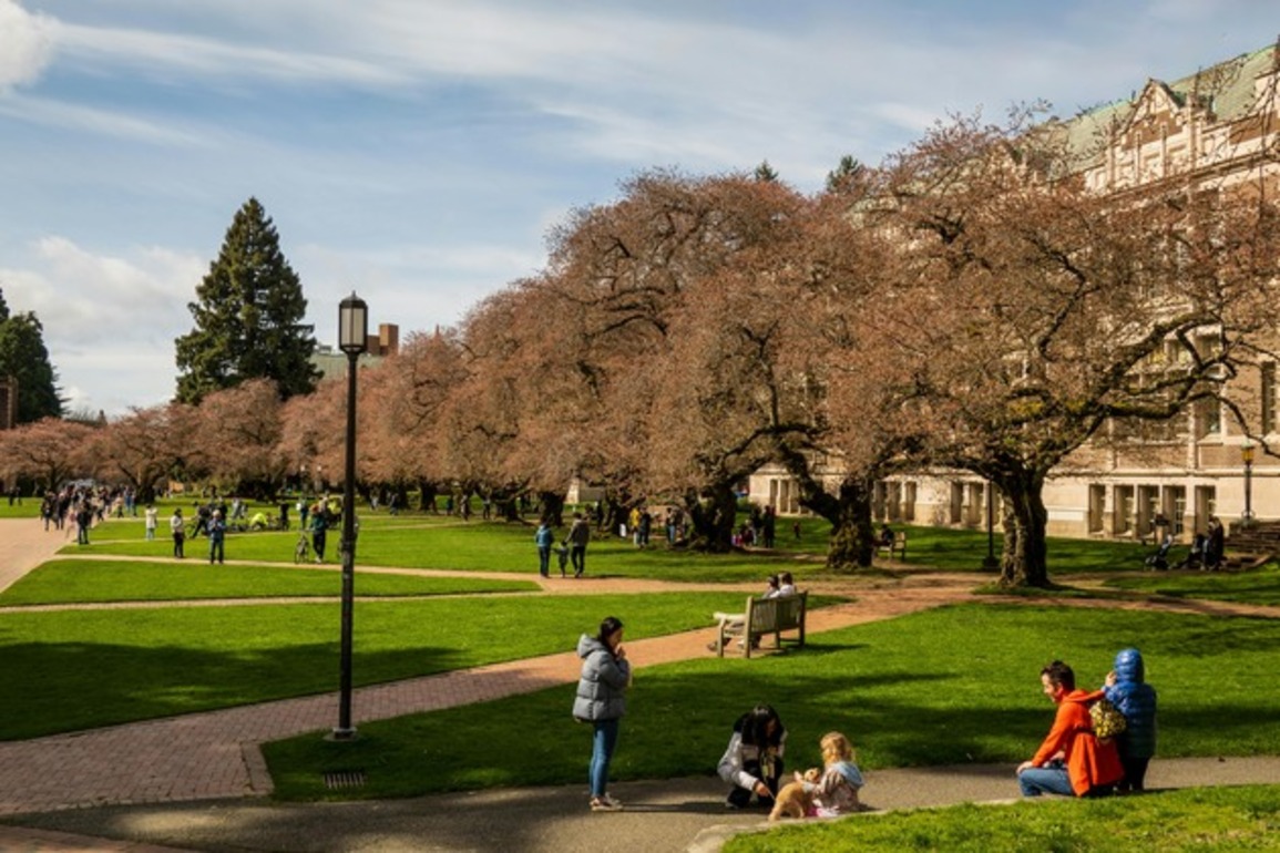Wave of ‘swatting’ incidents stirs fear on US college campuses