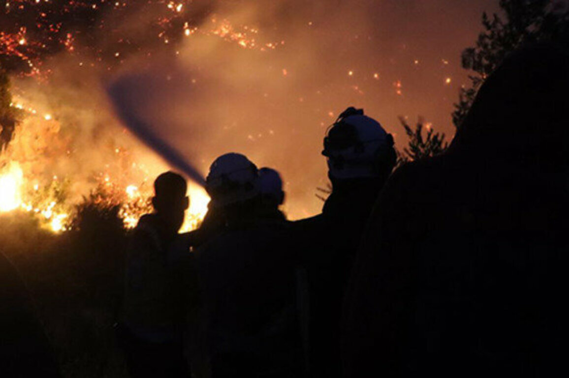 Firefighters Control Wildfires in Western Hama Countryside