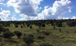  Glencore's rehabilitated Rolleston mine in Queensland. Photo courtesy Glencore