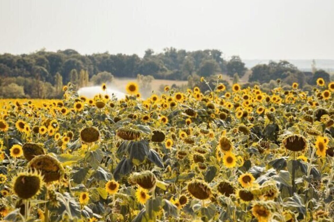 Scientists warn of 'unmistakable trend' after 2025 surges to third-hottest year on record
