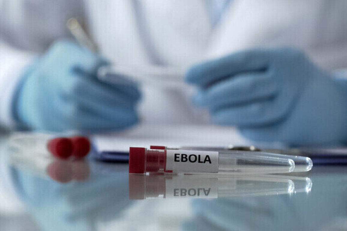 Moscow to help African nation fight Ebola outbreak