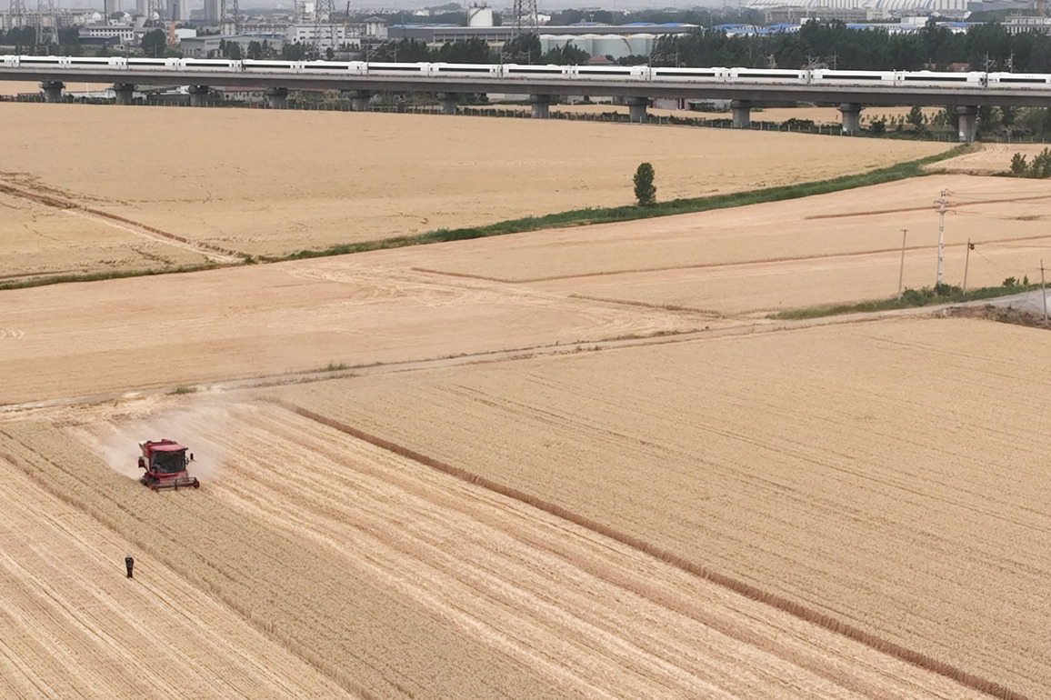 #CHINA-SUMMER GRAIN-WHEAT-HARVEST (CN)