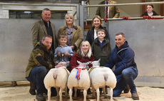 Skipton lamb champions sell for record £900/head