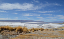 Argentina Lithium & Energy's Rincon West in Salta, Argentina 
