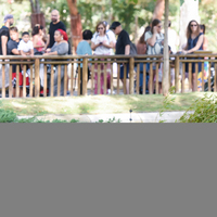 SPAIN-MADRID-GIANT PANDAS-BIRTHDAY PARTY