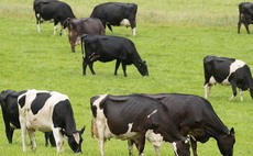Cow burps seen from space claim refuted