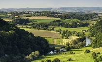 Charity provides emergency grants for farmers hit by bluetongue and drought