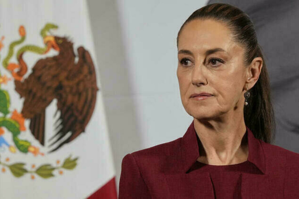 Mexico president denies US claims of a joint anti-cartel operation