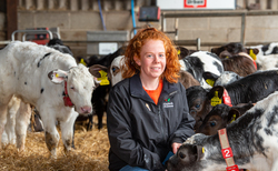 In your field - Amy Wilkinson: "I could tell you all about the traumatic ordeal but the last thing you need is to hear how hard the job is, so I am sticking to the good stuff"