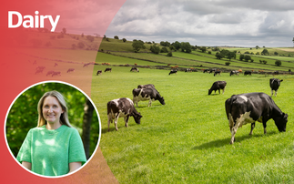 OPINION: I feel 'silly season' may be about to begin 