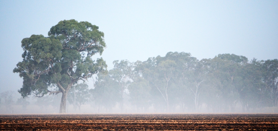 Farmers say proposed changes to paraquat and diquat could see sustainable farming practices go up in flames, and force them to increase burnoffs and revert to other old practices for weed control.