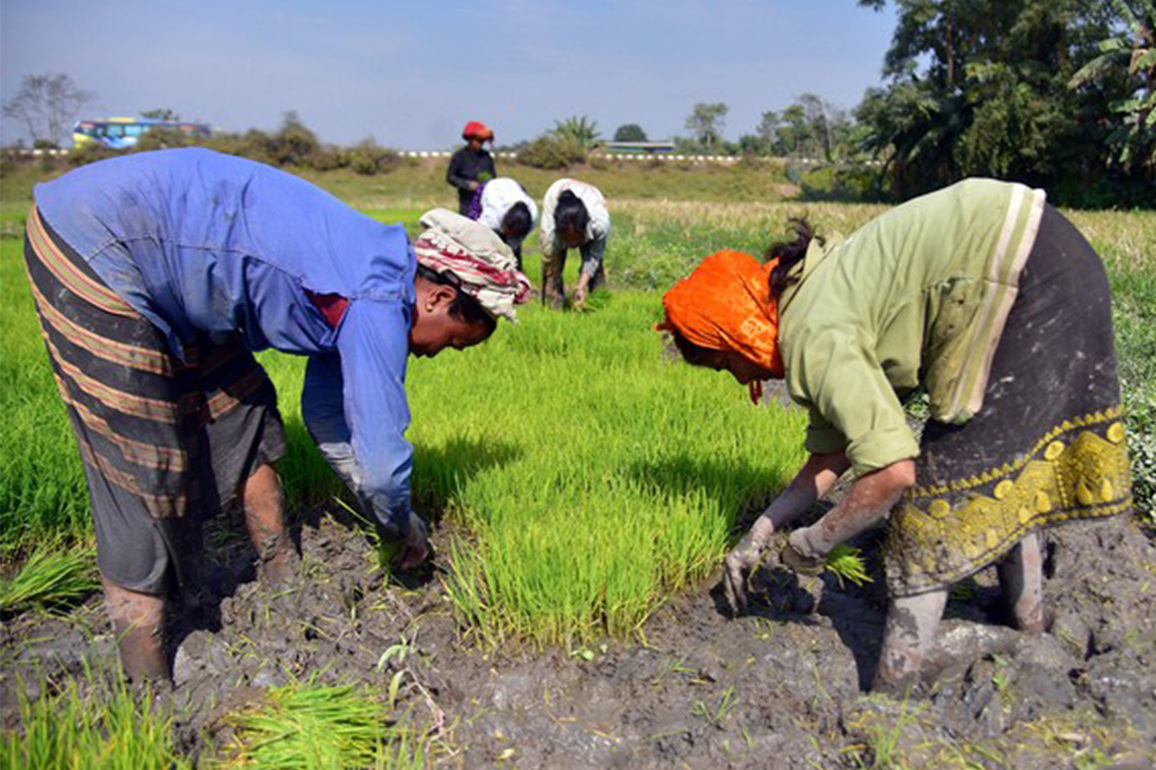 Govt sets target to bring additional 100 lakh hectares under micro-irrigation during 2025-30