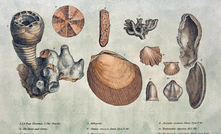  Engraving from William Smith's 1815 monograph on identifying strata by fossils - Credit: W. Arding, London