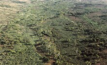 WA has ready supplies of biofuel feedstock.