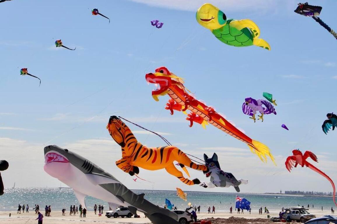 Album: Colorful, creative kites fly over Adelaide