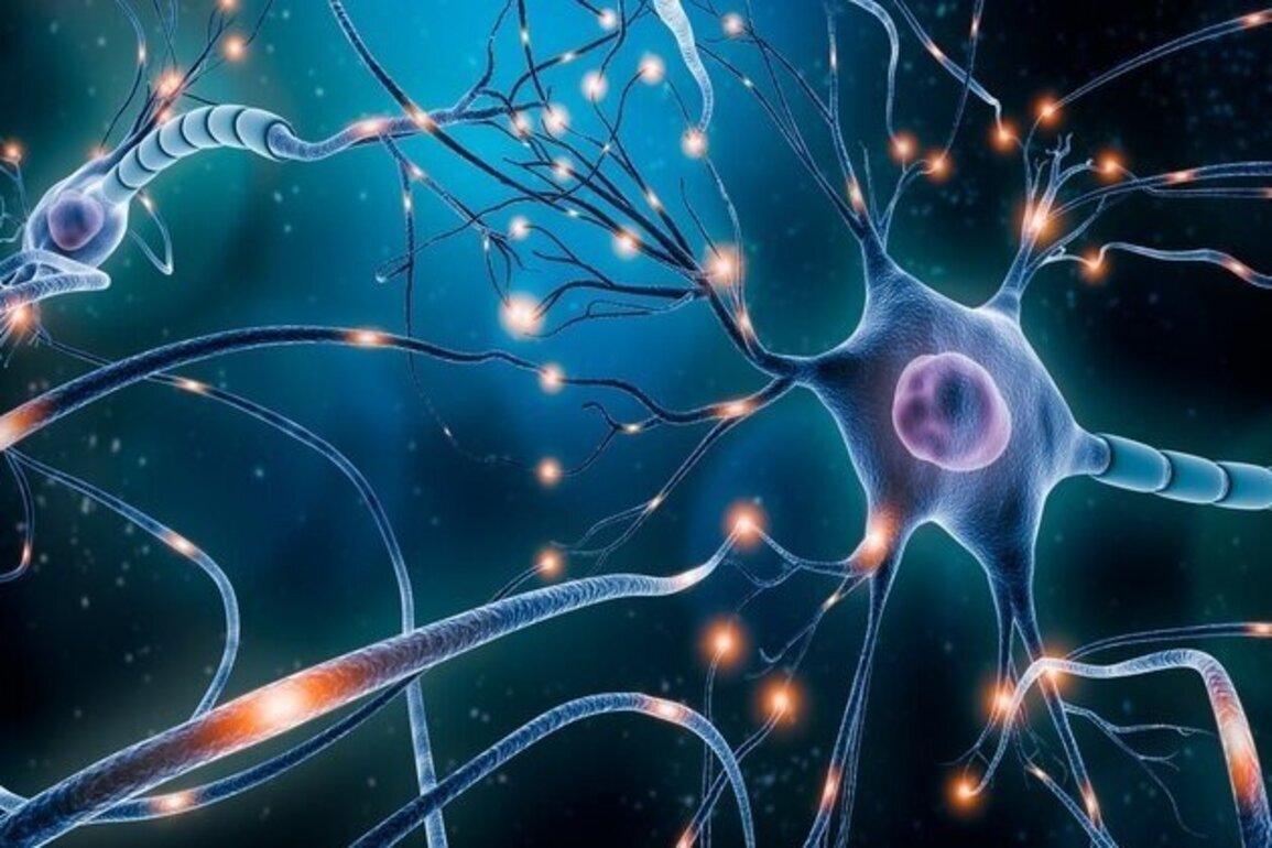 NYU Abu Dhabi, University of Denver researchers develop technology for brain disorder treatment