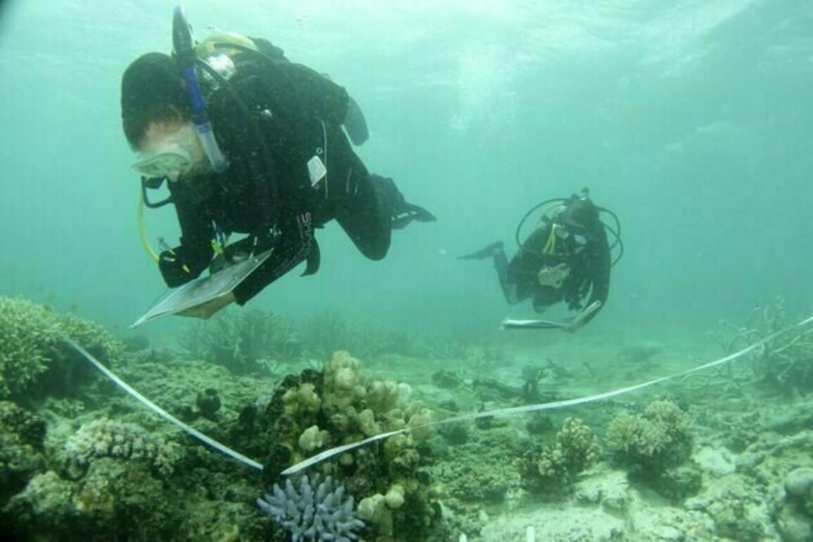 UNESCO expresses 'utmost concern' at the state of the Great Barrier Reef