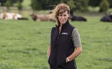 NFU calls for halt to BPS reductions