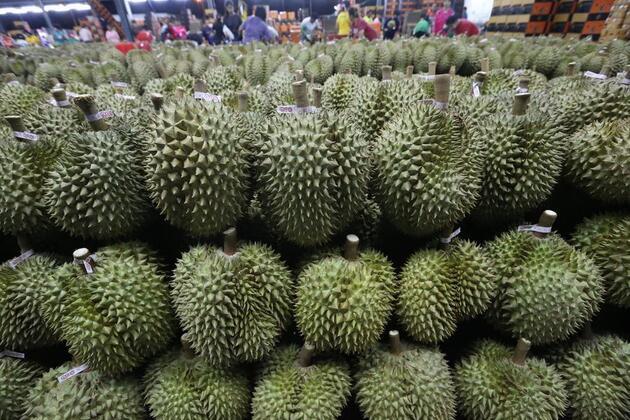 China-Laos Railway drives tropical fruit boom as durian shipments from Southeast Asia hit peak season