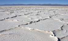 Argosy boosts lithium portfolio