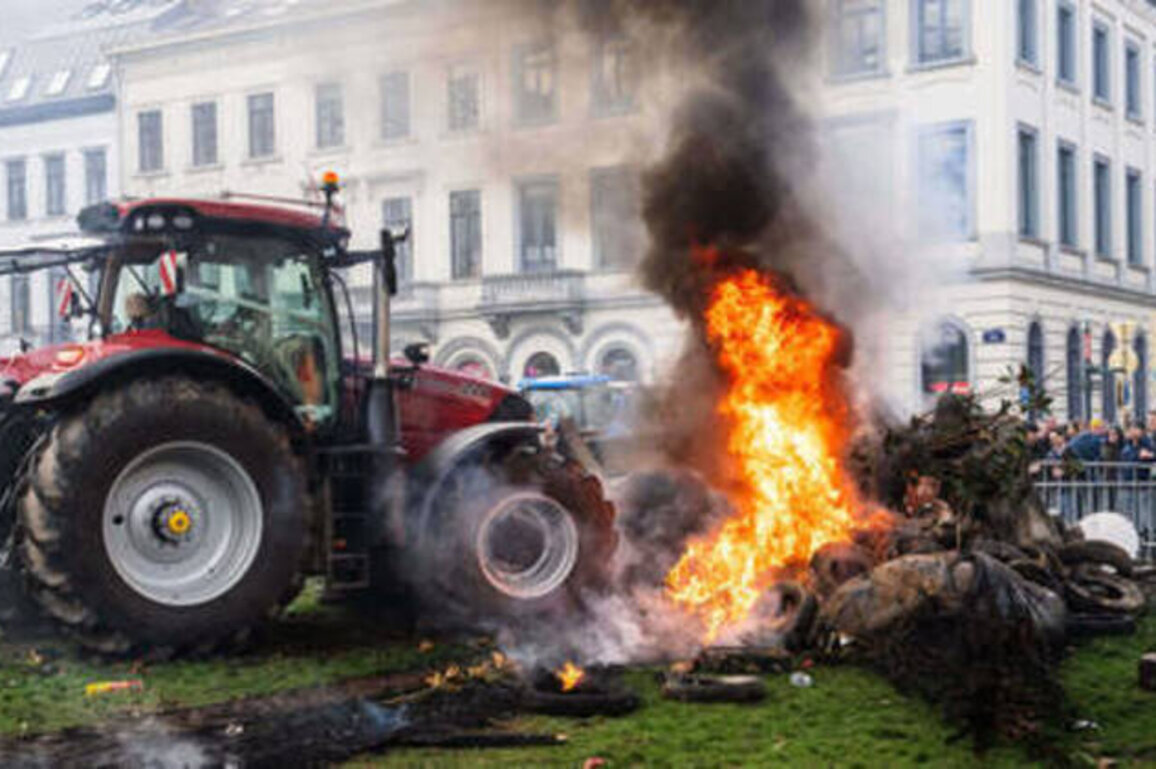 Farmers clash with police in Brussels amid crunch Ukraine talks (VIDEOS)