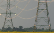 How one of England's largest arable farms is aiming for net zero