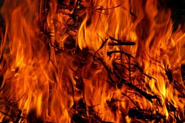 US: Wildfire burning across Huntsville, Texas triggers evacuations