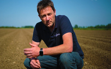 Wireworm spread hits tuber surface damage