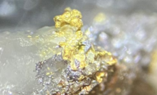 Visible gold added into mix at De Grey's big Hemi discovery