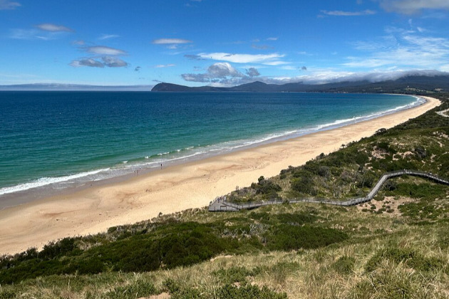 Diver injured in shark attack near Adventure Bay off Tasmania coast