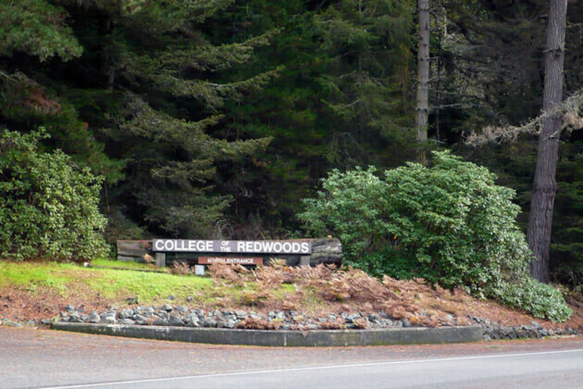 Rural CA community colleges deploy AI to keep students on track