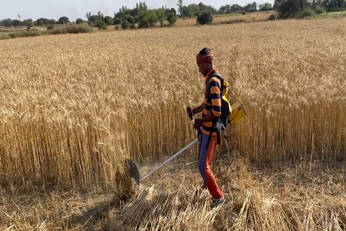 Uttar Pradesh: Farmers to be provided with 100 battery powered E-Brushcutters to mitigate stubble burning