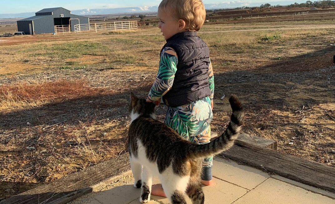 Growing up on a farm can be an incredible experience - but Farmsafe said its important to make plans to keep kids safe.