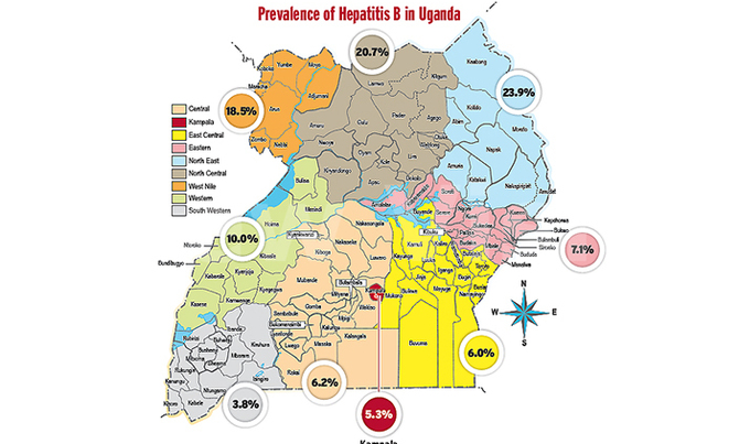 Understanding the drastic drop in hepatitis B prevalence figures Understanding the drastic drop in hepatitis B prevalence figures