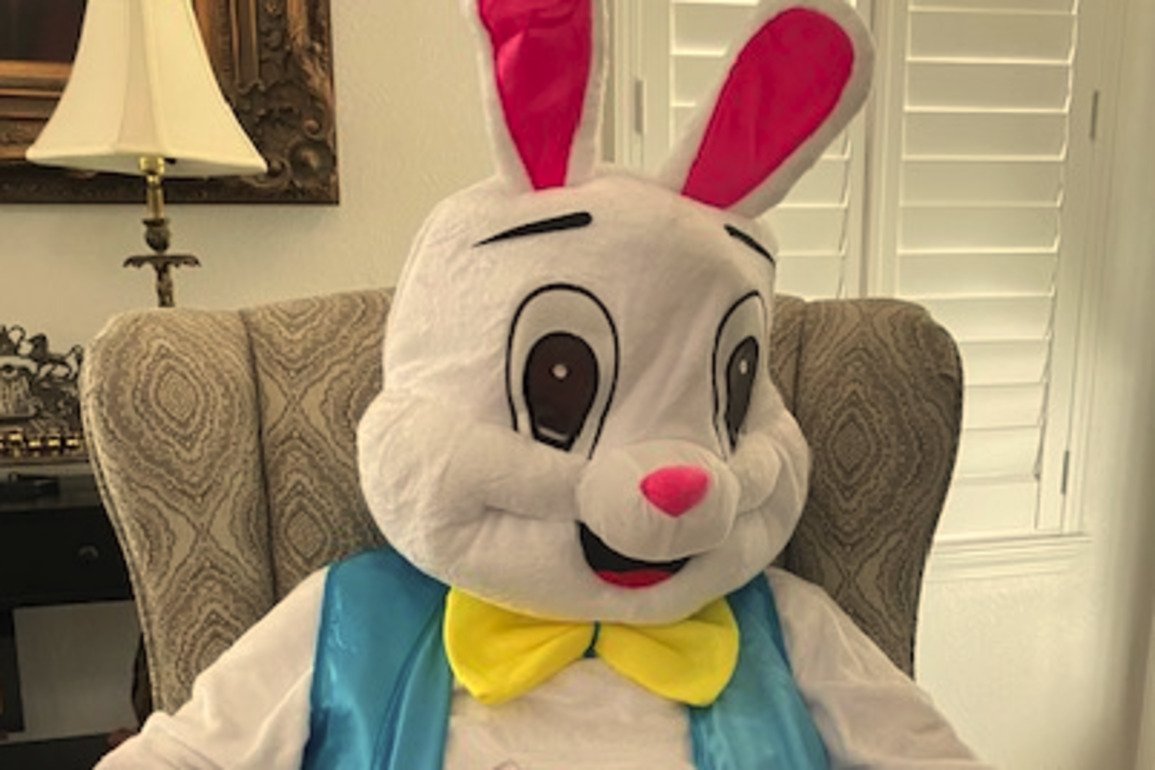 Bunny bringing 'magic carrots' to children in hospital