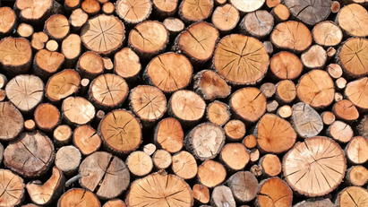 Jeld-Wen timber products 100% sustainably sourced