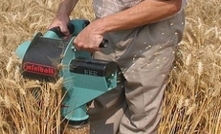 Grain monitoring vital this summer