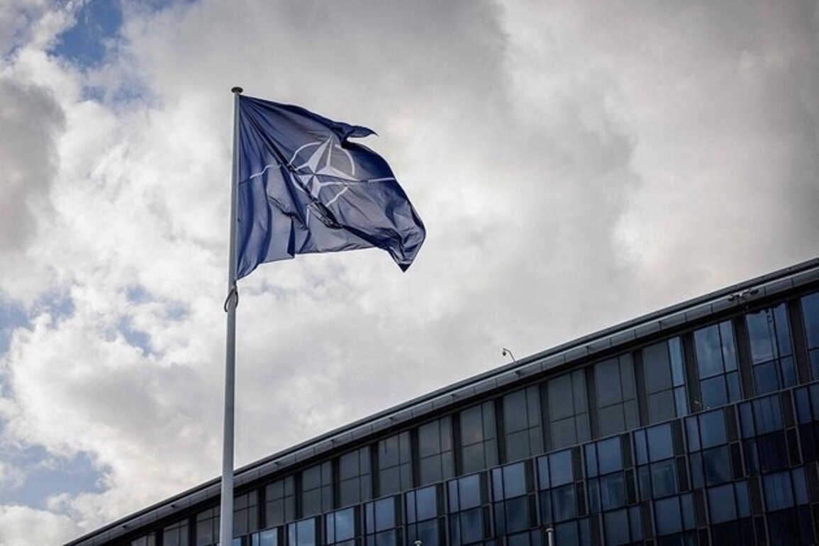 NATO mission temporarily withdraws from Iraq amid tensions: media